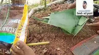 rit kedam ahut an kecho jo