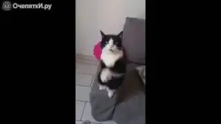 Открой мне  дверь хозяин