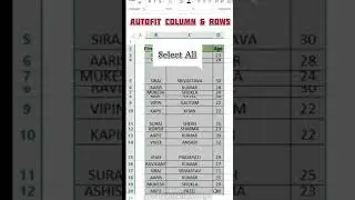 How to Autofit rows and columns in Excel |#shorts #shortsvideo #excel