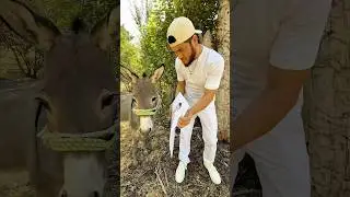 odylkhon is eshak, eshak is odylkhon