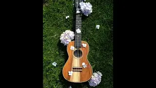 [FREE] Acoustic Guitar x Spanish Ukulele Kid Laroi Type Beat No Drums | 