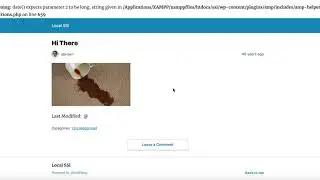 Speed Up Mobile WordPress Website Experience Using AMP