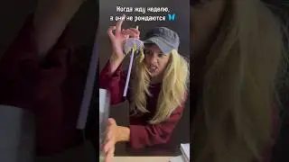 Когда родятся? Больше о бабочках в моем ТГ:Nina Wina, заказать можно там 🦋 #бабочки #бабочка