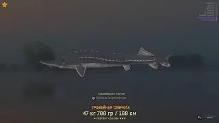 Fisher Online: Каспий, Севрюга.