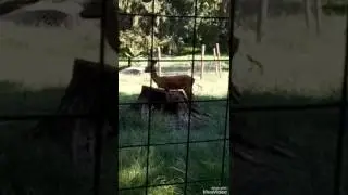 Экскурсия #2
