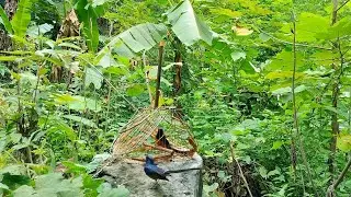 Đi Săn Hàng Khủng Và Cái Kết