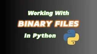 Mastering Binary File Handling in Python: Read & Write Like a Pro 😎