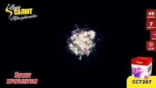 сс7267-Букет хризантем