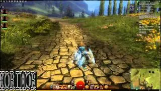GW2 Legendary Warrior (All Legendary Showcase)