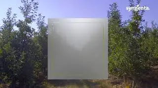 MERENORD SYNGENTA