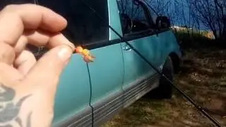 Working equipment for sabrefish, what equipment did I choose when fishing for sabrefish from the ...