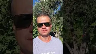 как белорусам сэкономить на отдыхе в 2024