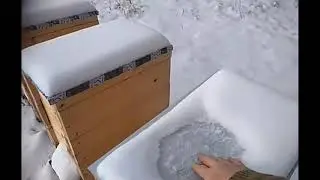 зимовка пчел на улице в рогатых ульях