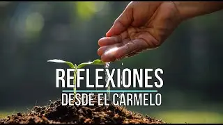 «Disponibles a la acción del Espíritu» XI Domingo Tiempo Ordinario B. Reflexión desde el Carmelo.