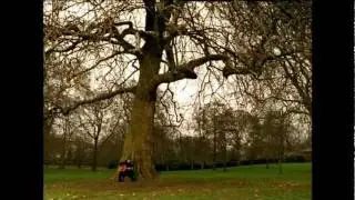 Oasis - Songbird (Official Music Video)