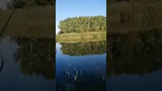 лето
