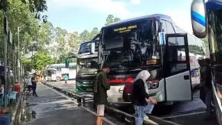 Bus sumber alam tua tua keladi
