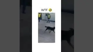 पीढ़ी संकट में आ गई 🤣 #shorts  #funny