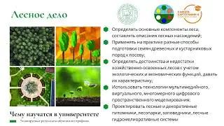 Профиль - Лесное природопользование, 2022