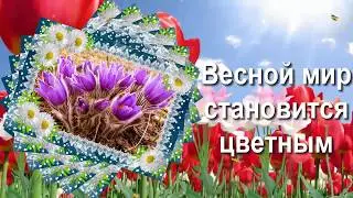 Вспомним на миг весну)