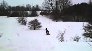 FaceyTail.mp4