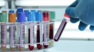 Biyokimya Laboratuvarı