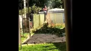 Slow mo timber