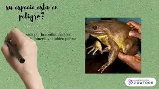 La Rana Gigante-ept