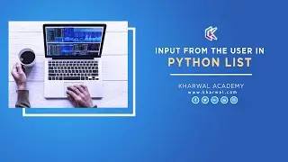 Input From User In Python List
