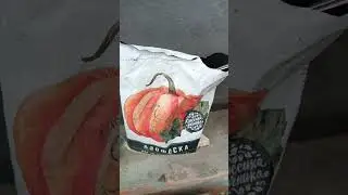 Подкормка роз и других растений после зимовки. 