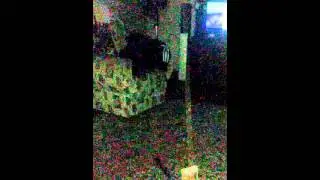 3 956 578 просмотров -  Милый котик со светящимися глазками