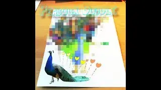 Peacock Doodle |Time Lapse Copic marker Illustration