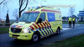 Auto botst op boom in Blokzijl