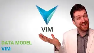 📦Data Model - VIM