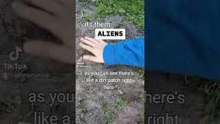 it's them ALIENS
