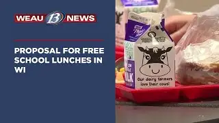 Proposal for Free School Lunches in WI