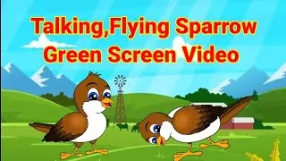 Talking, Eating &Flying Sparrow Green Screen video# बोलने वाली चिडिया#उडनेवाली चिडिया, बोलणारी चिमणी