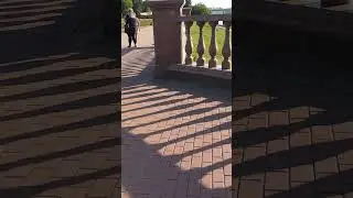 БАЛЮСТРАДА