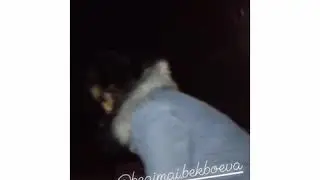 2019-ж., 18-январь