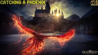 Hogwarts Legacy Side Quest: Phoenix Rising Walkthrough Guide||XBOX SERIES S Full Gameplay-1080p60FPS