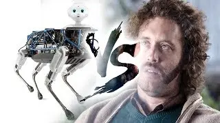 Boston Dynamics BigDog vs T.J. Miller