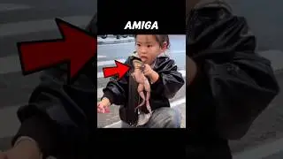 #babifreitas