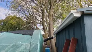 Installing a rainwater collection system in the Greenhouse