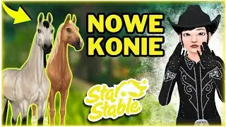 KUPUJE NOWEGO KONIA AMERICAN SADDLEBRED!