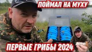 Первая РЫБА на МУШКУ. Первые ГРИБЫ сезона 2024.
