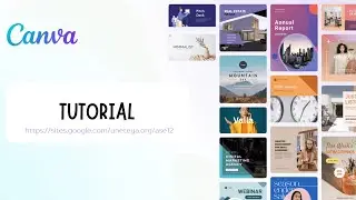 Canva - ¿Cómo crear en esta herramienta?