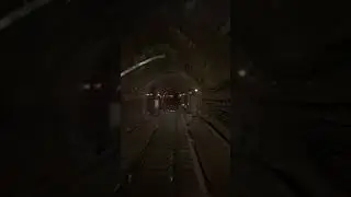 Постійно під струмом ⚡️