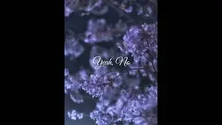 Señorita | Camila Cabello and Shawn Mendes | Lyrics | #108