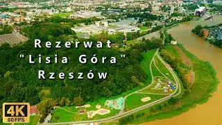 Rezerwat Lisia Góra 🏞️ Rzeszów 🏖️