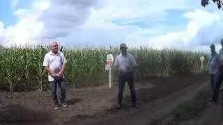 День поля Саммит Агро Украина